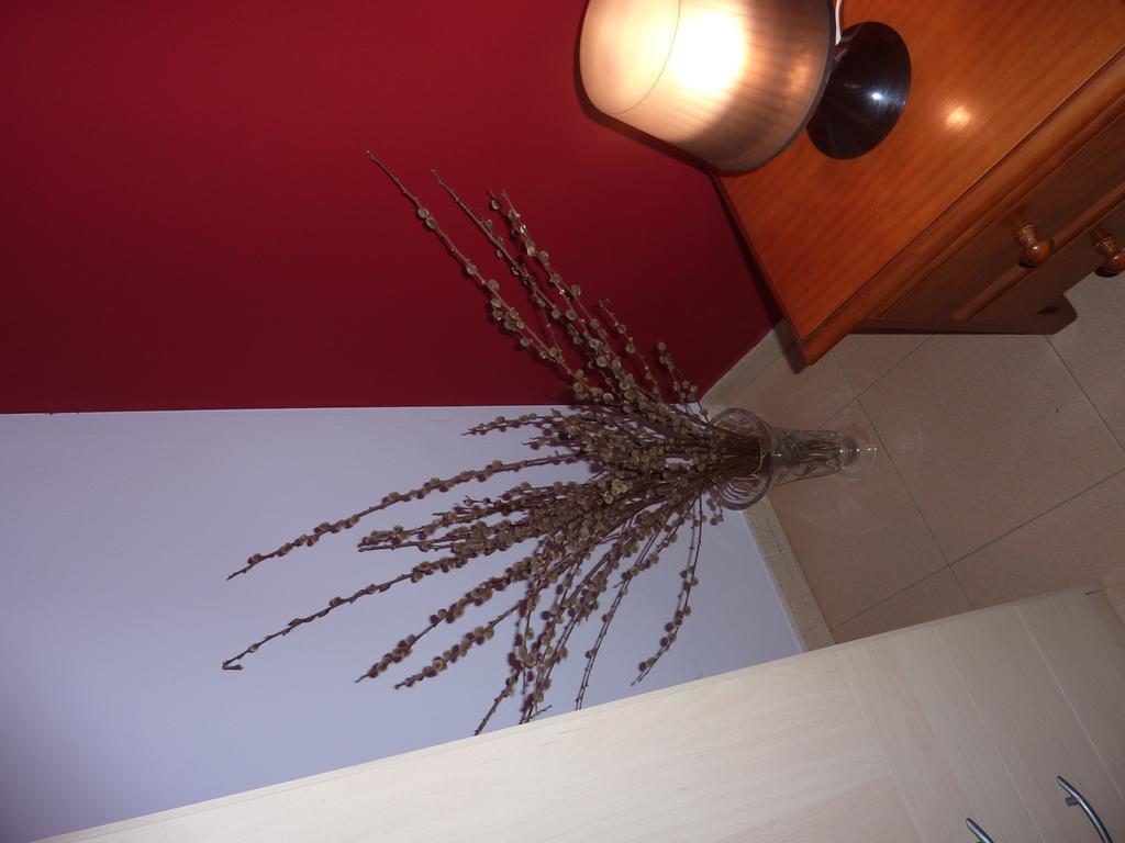 El Molino Appartement Castejón de Sos Buitenkant foto